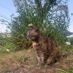 Meet your Posher, Joanne